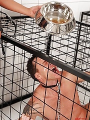 Big titted mom in latex peeing on a guys body in cage in femdom scene